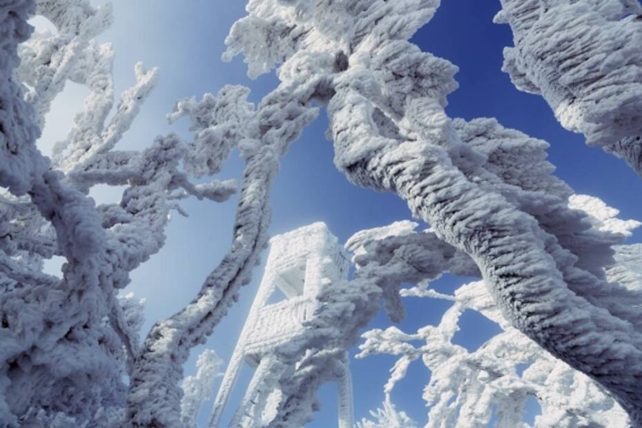 Solsticio de invierno: conoce maravillas y curiosidades bajo cero