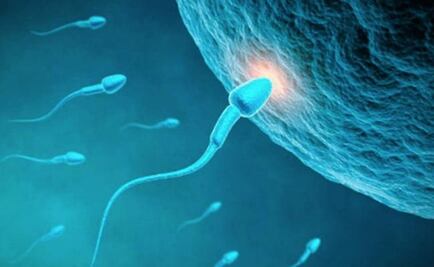 La alimentación impacta en la fertilidad masculina, advierte experta