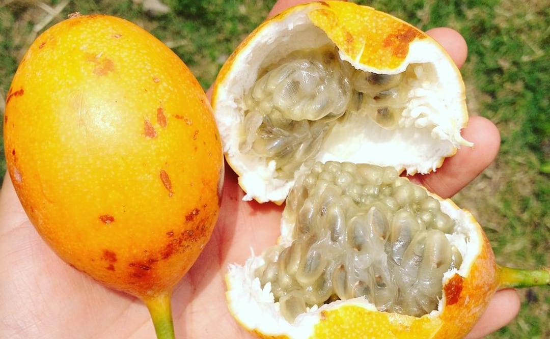 Qué es y qué beneficios tiene la granada china. Foto: veronicagozz / Instagram