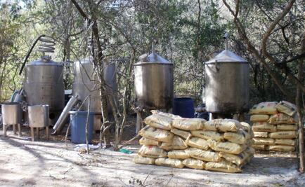 Destruyen 19 toneladas de químicos en Sinaloa