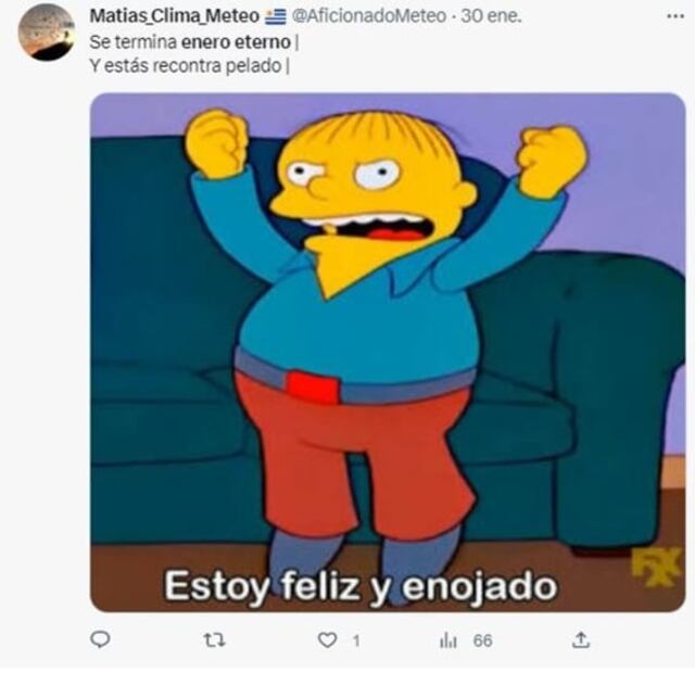 ¡Por fin se acabó! Se va el mes de enero y con éste también algunos memes