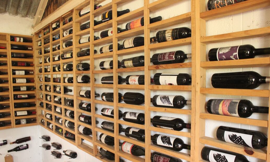 Vinicultura por el Valle de la Independencia. Foto: cortesía