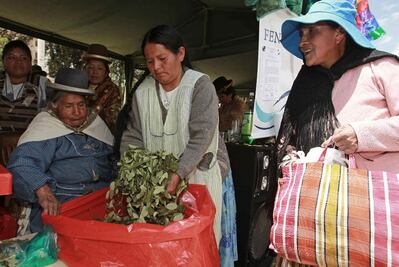 Bolivianos regalarán al Papa un pastel de hoja de coca