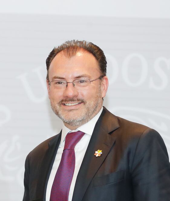 Secretario de Relaciones Exteriores, Luis Videgaray (ARCHIVO. EL UNIVERSAL)