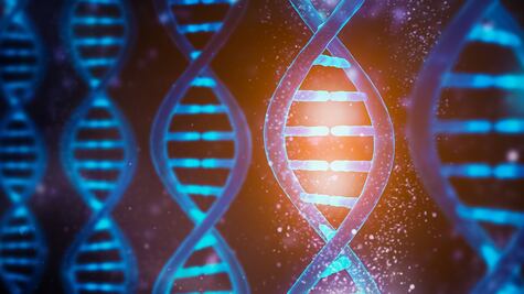 Las variantes y la evolución la natural del virus