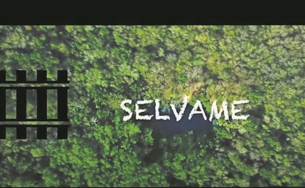 “Queremos que el Presidente voltee”, famosos que participan en campaña sobre Tren Maya