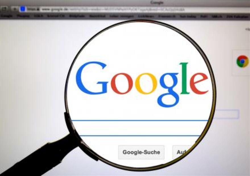Google y Facebook, contra el tráfico de la vida silvestre
