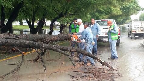 Segob reporta saldo blanco en costas tras “Franklin”