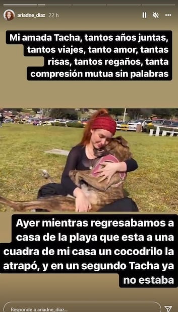 Cocodrilo devora a Tacha, la perrita de Ariadne Díaz: "Tengo el corazón roto", dice la actriz