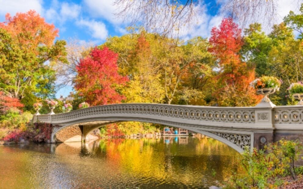 Central Park: el parque de clase mundial que cabe 2 veces en Chapultepec