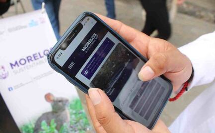 Presentan "Morelos Sustentable App" para divulgar educación ambiental a estudiantes