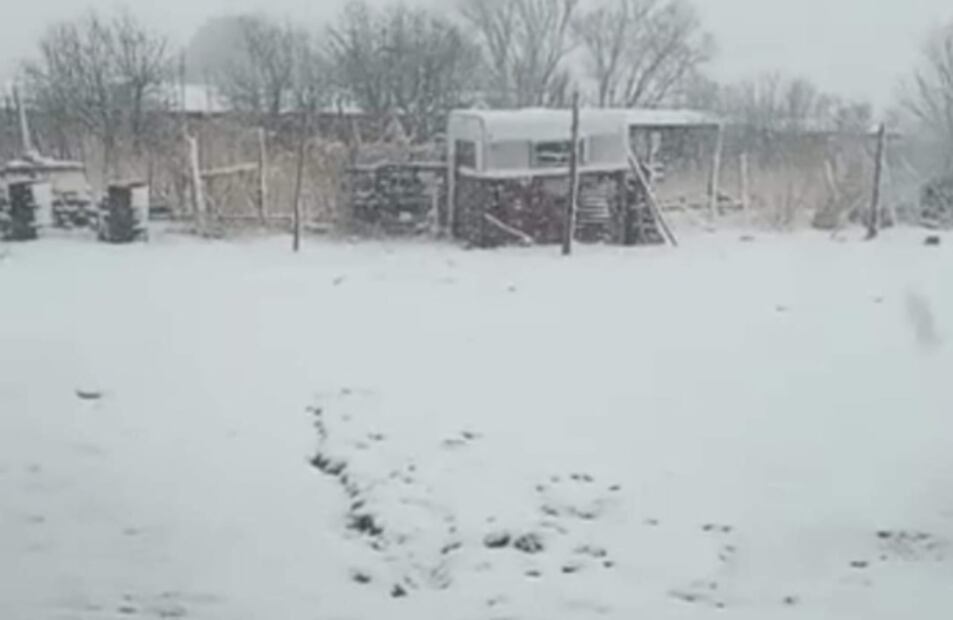 Cae nevada en plena primavera en municipios de Chihuahua