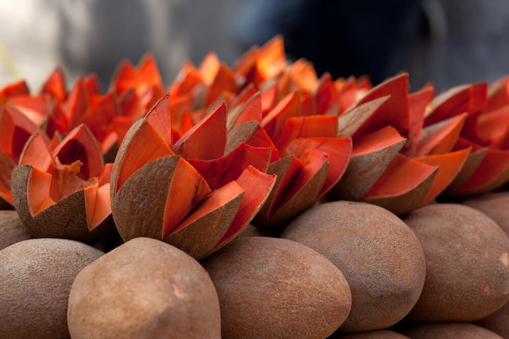 Mamey in market. Mexican fruit. Mamey sapote. Very shallow depth of field