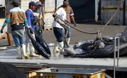 U.S. loses WTO appeal in Mexican tuna dispute