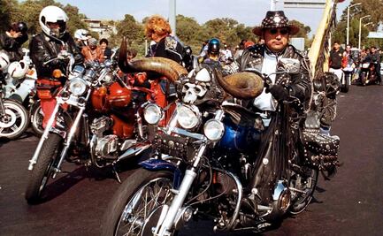 Perfil. Félix Salgado Macedonio