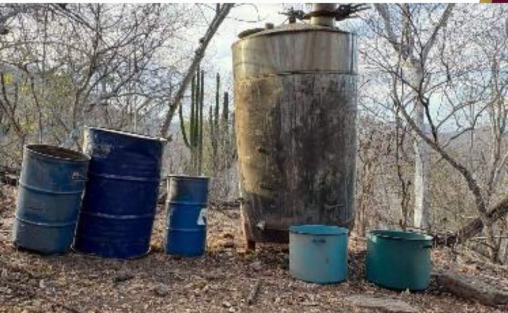 Descubren 11 nuevos laboratorios clandestinos en Culiacán y Cosalá, Sinaloa (11/03/2025). Foto: Especial