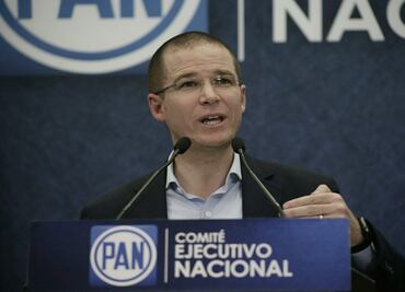 PAN anuncia investigación formal por postulación de diputada