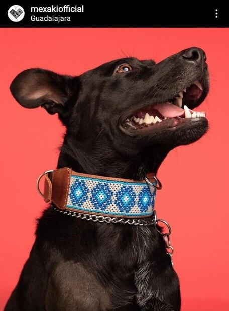 Estos son los mejores regalos de Navidad para tu mascota 