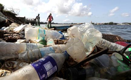 25 defensores del medio ambiente fueron asesinados en México en 2024: Cemda; señala al Estado como principal agresor