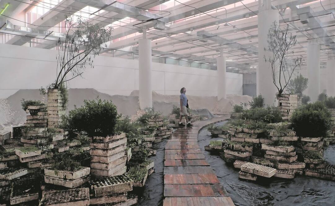 En cajas de unicel crece un “invernadero”, que puede seguirse 24 horas, en línea. Foto: Juan Boites/ EL UNIVERSAL