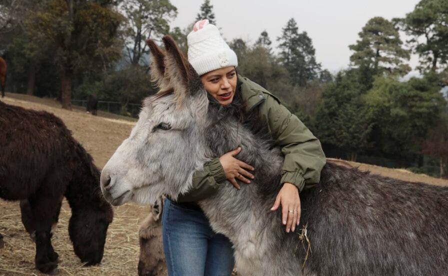 Elizabeth Soto, rescatista y abogada por los animales; denunciar le ha costado agresiones, acoso y una amenaza de muerte