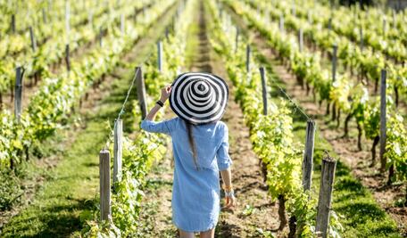 ​5 destinos en México que celebran las Fiestas de la Vendimia