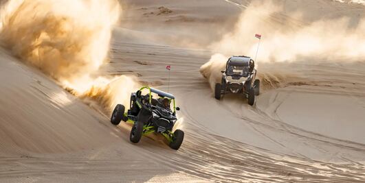 Cuánto cuesta un RZR y qué potencia tiene