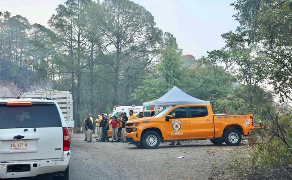 Incendio Forestal en Sinaloa (26/05/2025). Foto: Especial