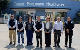 Alcalde de Coyoacán asegura que hay trabajo coordinado con Gobierno de CDMX en movilidad y seguridad para el Mundial; "estamos listos", dice