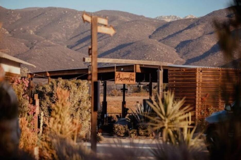 Estos son los restaurantes mexicanos que deberían estar dentro de la lista de los 50 Best 