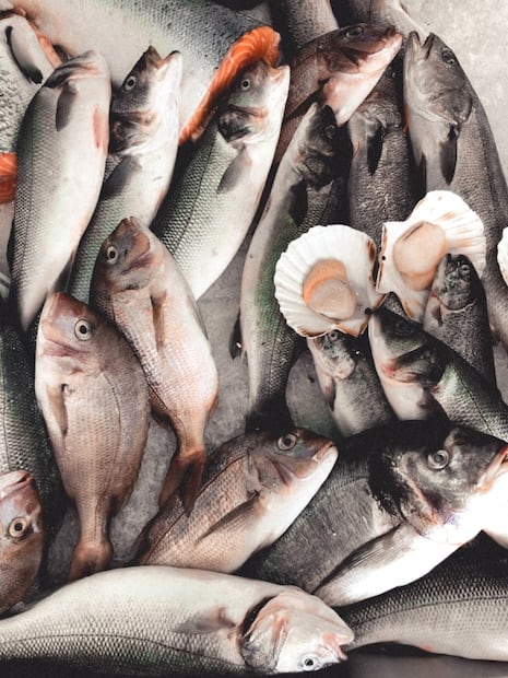 Comer mariscos en el embarazo no es tan malo, según estudio