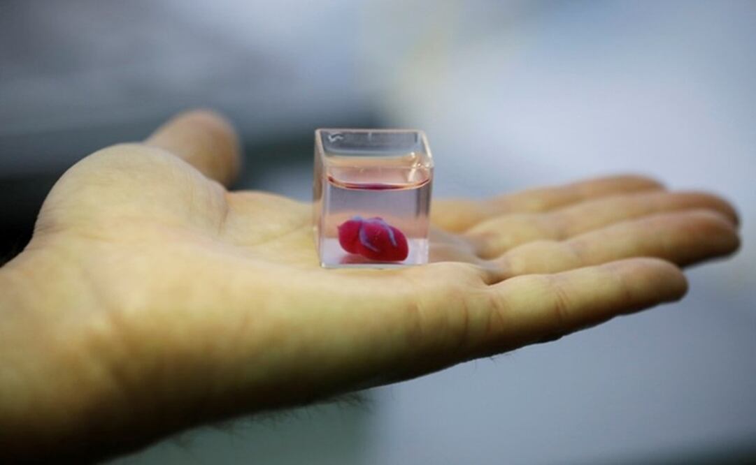 Primer corazón impreso en 3D/ Fotografía: Reuters