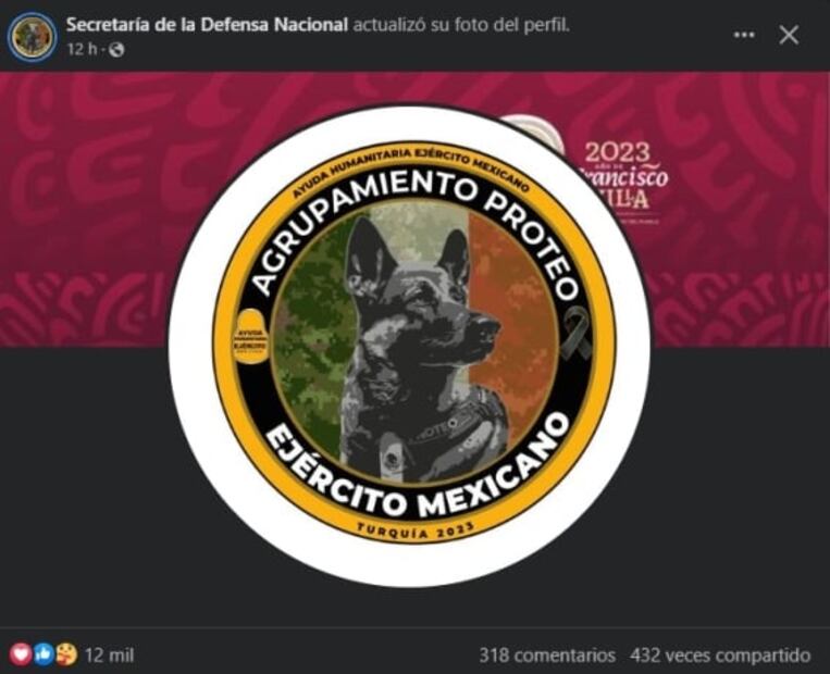 Turquía y los agradecimientos a Proteo, perro rescatista de México 