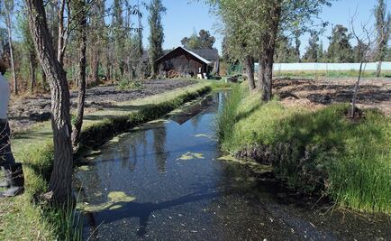 Chinampas, ejemplo de producción sustentable en la CDMX