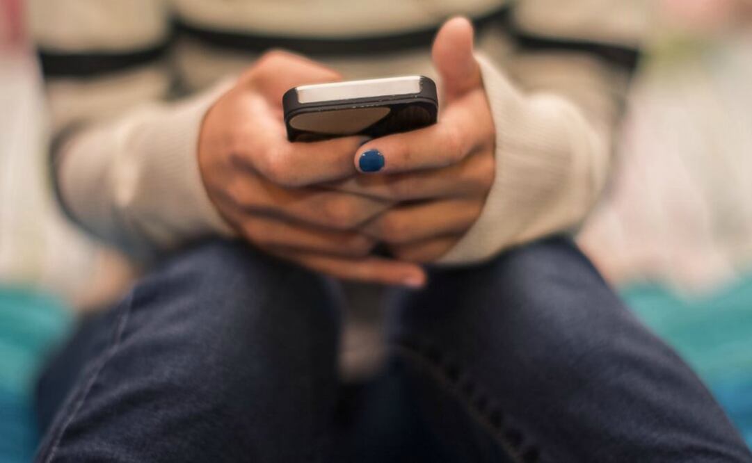 Los smartphones de gama alta reúnen todas las características, componentes, avances, tendencias e innovaciones que proporciona la tecnología móvil para el mercado actual