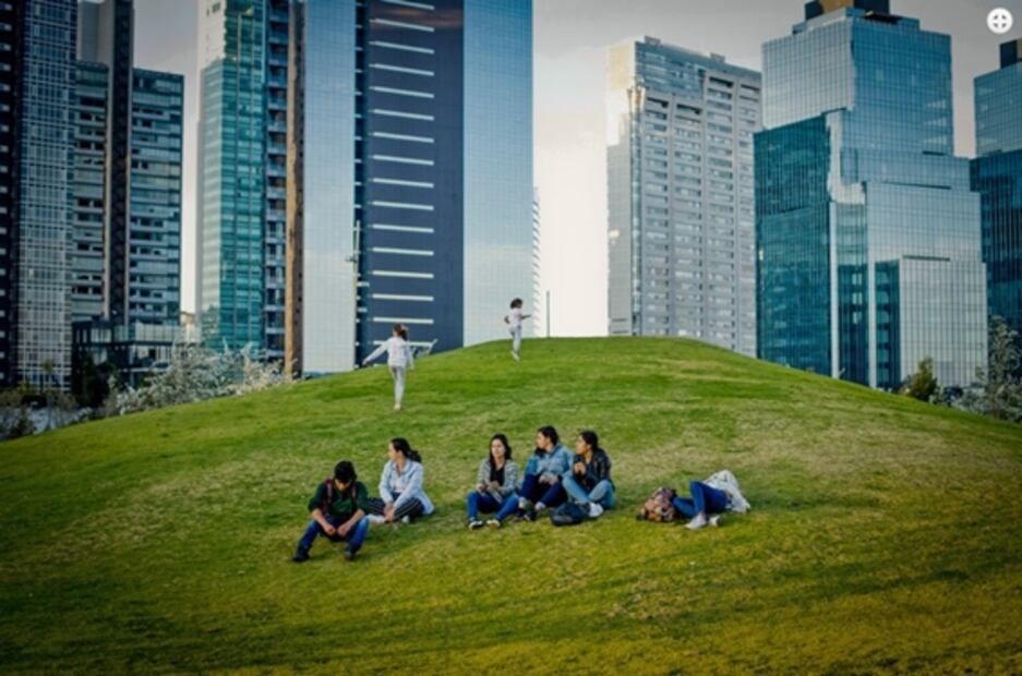 5 grandes lugares para hacer un picnic en CDMX