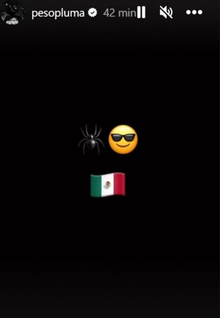 Con este curioso mensaje, el cantante de "La doble P" anunció su llegada a la CDMX para cerrar el Festival Arre. Foto: Instagram