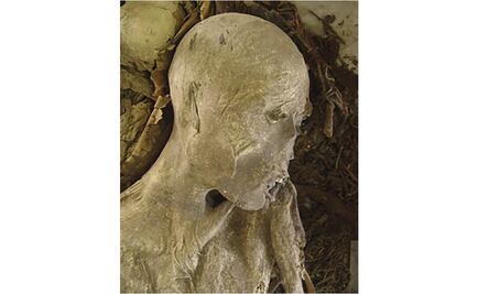 Incendio en el Museo Nacional de Brasil destruyó piezas egipcias