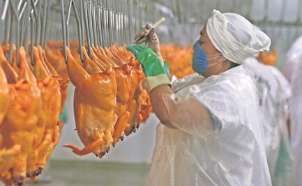 Prevén siga preferencia por el pollo hasta 2030