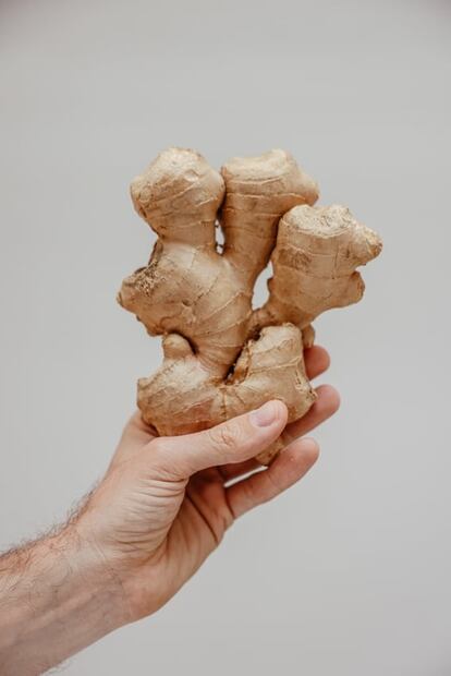 Estas son las hierbas y especias que debes tener en tu dieta