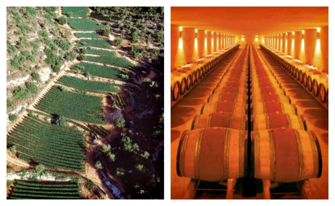 El viñedo de Domaine du Castel, ubicado en la provincia de Ramat Raziel, en Israel, elabora vinos que cumplen con las reglas kosher.