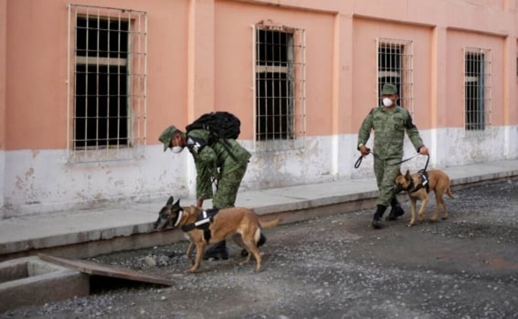 Con perros y radares, agentes buscan fosas clandestinas en penal de Topo Chico