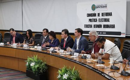 IECM advierte que desaparición de OPLEs no representa ahorro en elecciones; "podría generar crisis de gobernabilidad"