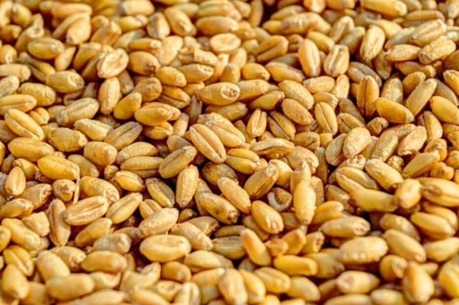 Cuida tu salud intestinal con esta bebida probiótica 