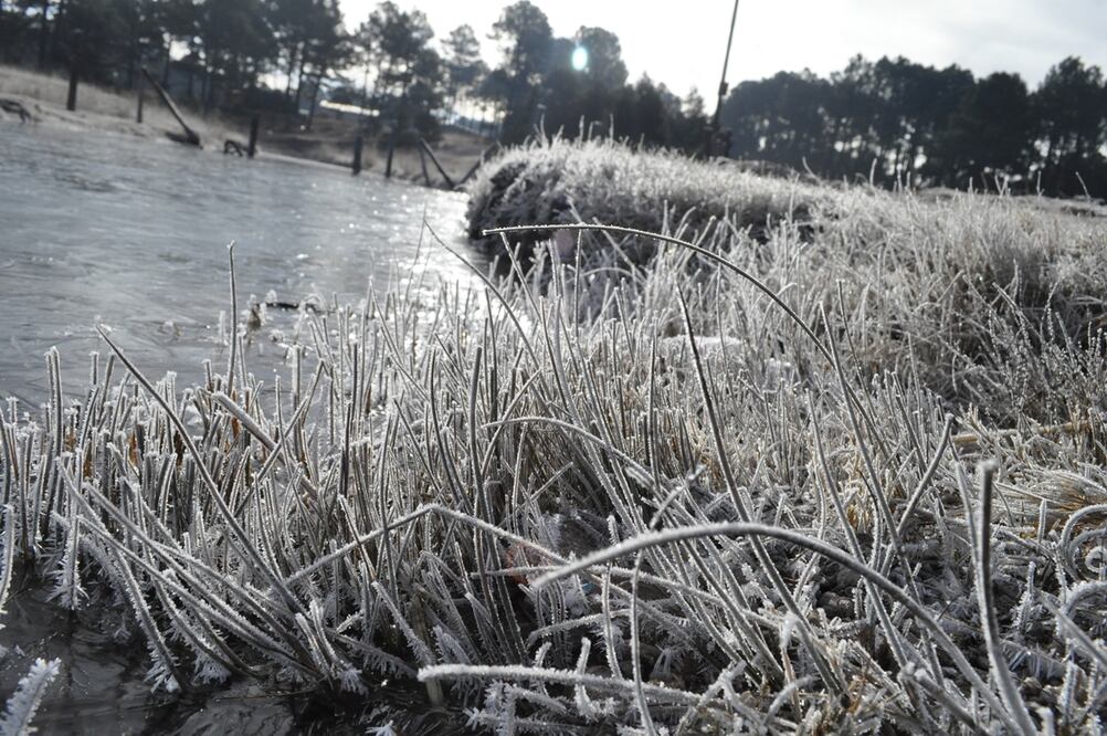 Foto: Archivo/El Universal