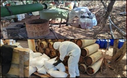 Aseguran 20 laboratorios clandestinos en Sinaloa; militares los inhabilitan, la FGR investiga