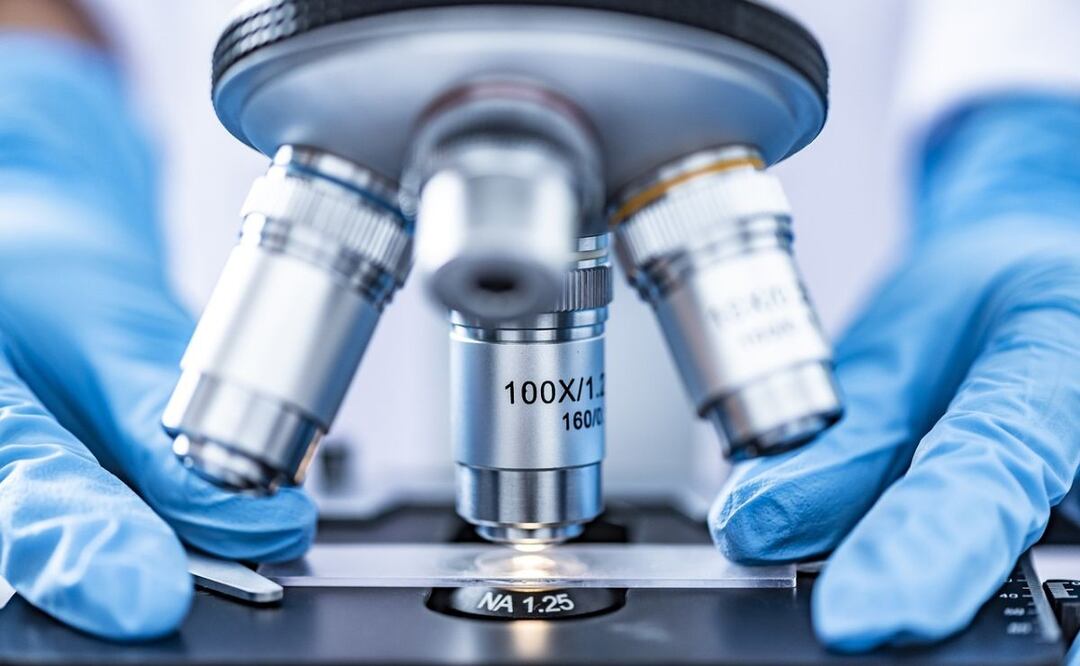 Alimentos y salud. Fuente: Pixabay