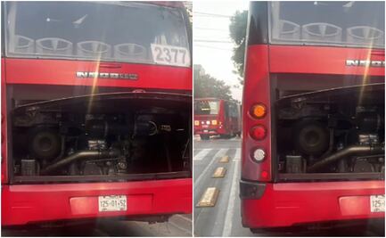 ¿Qué pasó en el Metrobús? Unidad se incendia en la colonia Álamos; esto sabemos