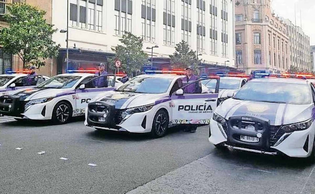 Desde el 25 de agosto al 17 de noviembre se han realizado 120 acciones para atender violencia de género contra mujeres policías de la SSC. Foto: Especial