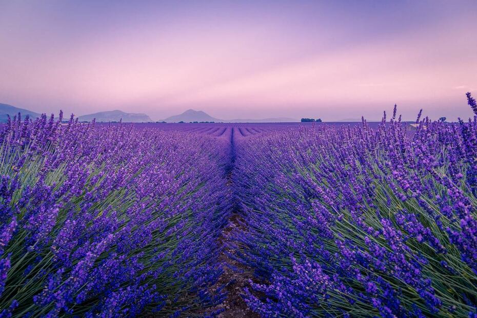 Foto: Unsplash